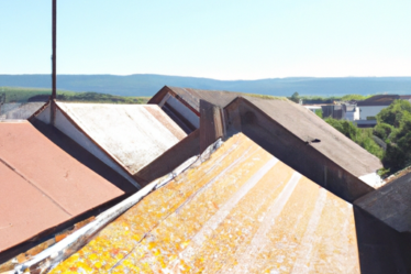 Red Roof® Broadens its Collection