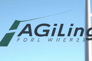 Tailwind Air Partners with APG as Online GSA in USA