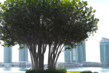 Ennismore and Banyan Tree Group Partner with Dubai Holding to Introduce Banyan Tree to Bluewaters